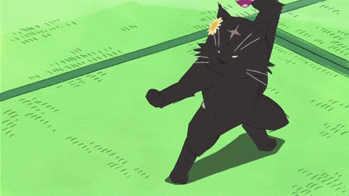 Jingoro_fighting.gif