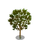 Steelwood Tree-icon
