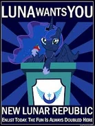 NLR 12