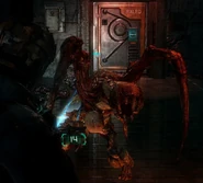 Spitterds3