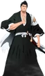 Isshin kurosaki-1-