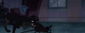Lady-tramp-disneyscreencaps com-7798.jpg