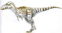 Alioramus