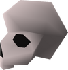 Right skull half detail