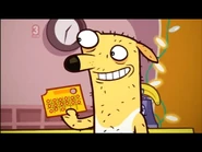 Howie's Golden card