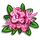 Pink Myrtle Flower-icon
