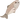 Trout