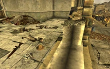 FNV Ranger holodisk