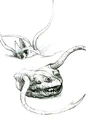 Sarlacc concept.jpg