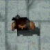ClaudeSpeed-GTA2-INGAME.jpg (5 KB) ClaudeSpeed-GTA2-INGAME