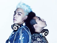 GDTOP2