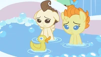 Pound & Pumpkin Cake what's that S2E13