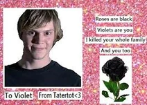 Tate 3