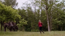 NW1x9-2