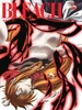 Bleach Vol. 65 Cover