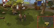 Clue 2 location (AVD)