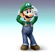 Luigi Brawl