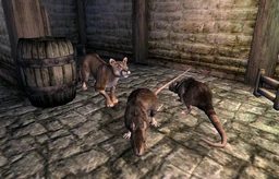 A Rat Problem