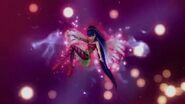 Musa Sirenix
