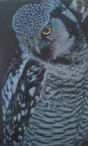 Hawkowl