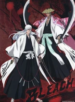 Bleach