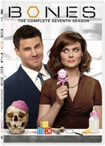 Season 7