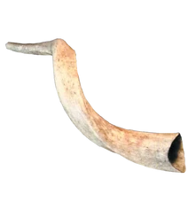 Joshua's Horn (Cut)