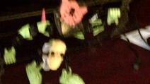 IMG 00000238
