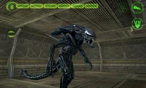 Screenshot 2013-05-10-09-44-06