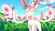 Sylveon anime