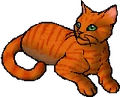 Firestar.star