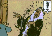 Emir Ben