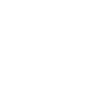 Cobweb