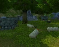 Kurzen's Compound.jpg
