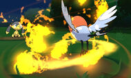 Fletchling vs Helioptile segundo movimiento