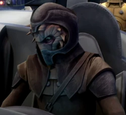 Unidentified Nikto criminal
