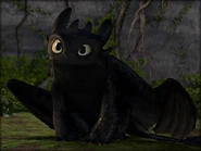 -Toothless-how-to-train-your-dragon-32987271-800-600