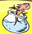 Norval carlos fish