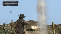 Sharpshooter hunting birds