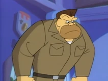 Mr. Williams