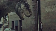 Samsung-trex