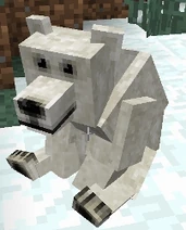 Polar Bear sitting