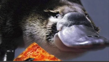 PlatypusPizza
