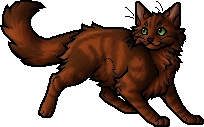 Foxleap.apprentice