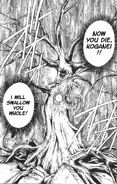 Mokuren Tree