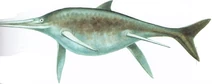 Shonisaurus