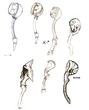 Racket Concept Designs FFIX Art