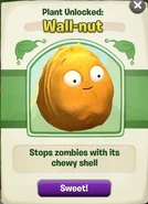 Adv-Wall-nut Packet