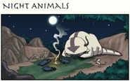 Night Animals