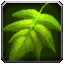 Inv pet ancientprotector summer